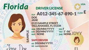 Renovar licencia de conducir Florida