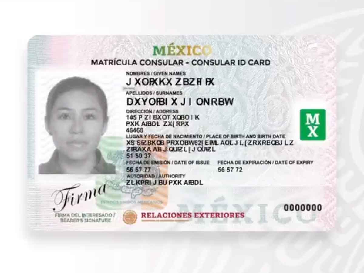 Obtén una Real ID en Puerto Rico: Todo lo que necesitas saber-Cuáles son los requisitos y pasos para obtener una Real ID en Puerto Rico