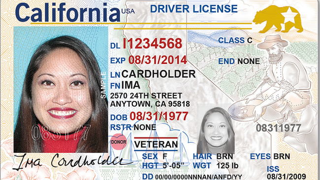 Guía paso a paso para obtener licencia de conducir en EE.UU-Cómo verificar si estoy registrado en EE.UU. para obtener una licencia de conducir paso a paso