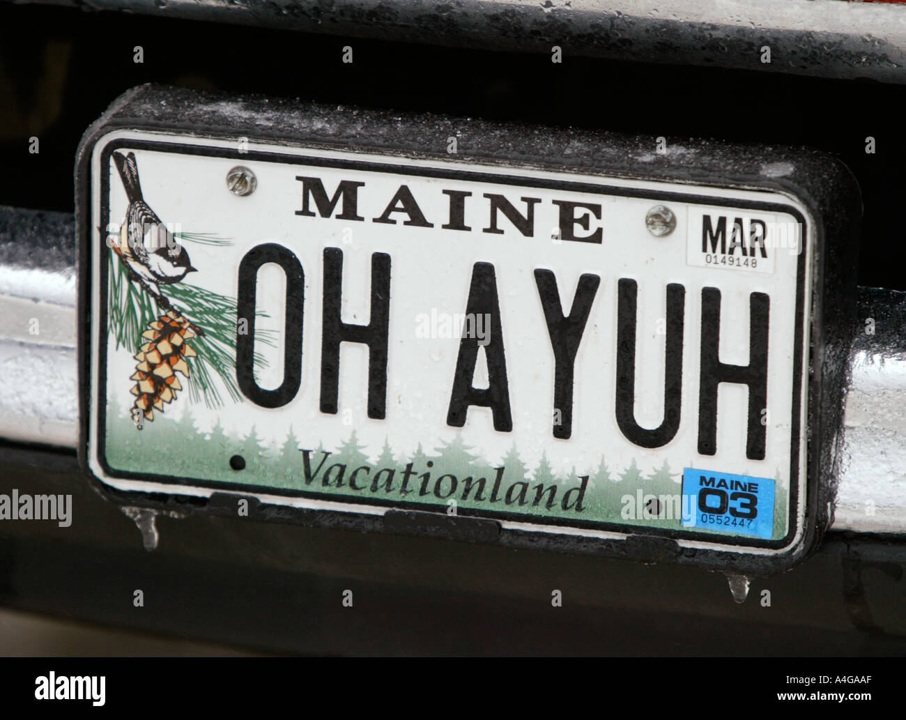 Registro de autos en Maine